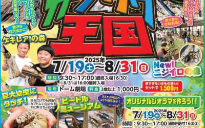 カブクワ王国 in 秋田ふるさと村
