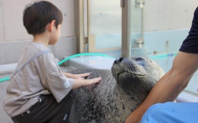 夏休みはGAOで体験！近くで発見生きものプログラム