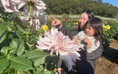 秋田市雄和コース