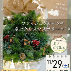 フレッシュグリーンの卓上クリスマスツリーづくり in さとぴあ
