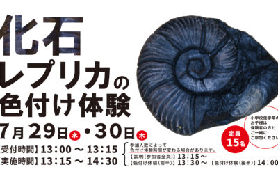 化石のレプリカ作りin 秋田県立博物館