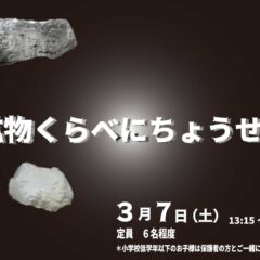 鉱物くらべにちょうせんin 秋田県立博物館