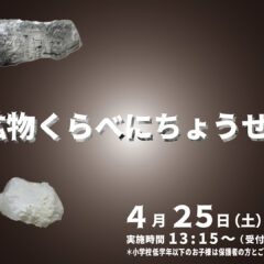 鉱物くらべにちょうせんin 秋田県立博物館