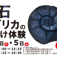 化石のレプリカの色付け体験in 秋田県立博物館
