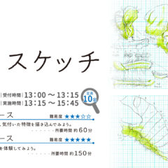 昆虫スケッチin 秋田県立博物館