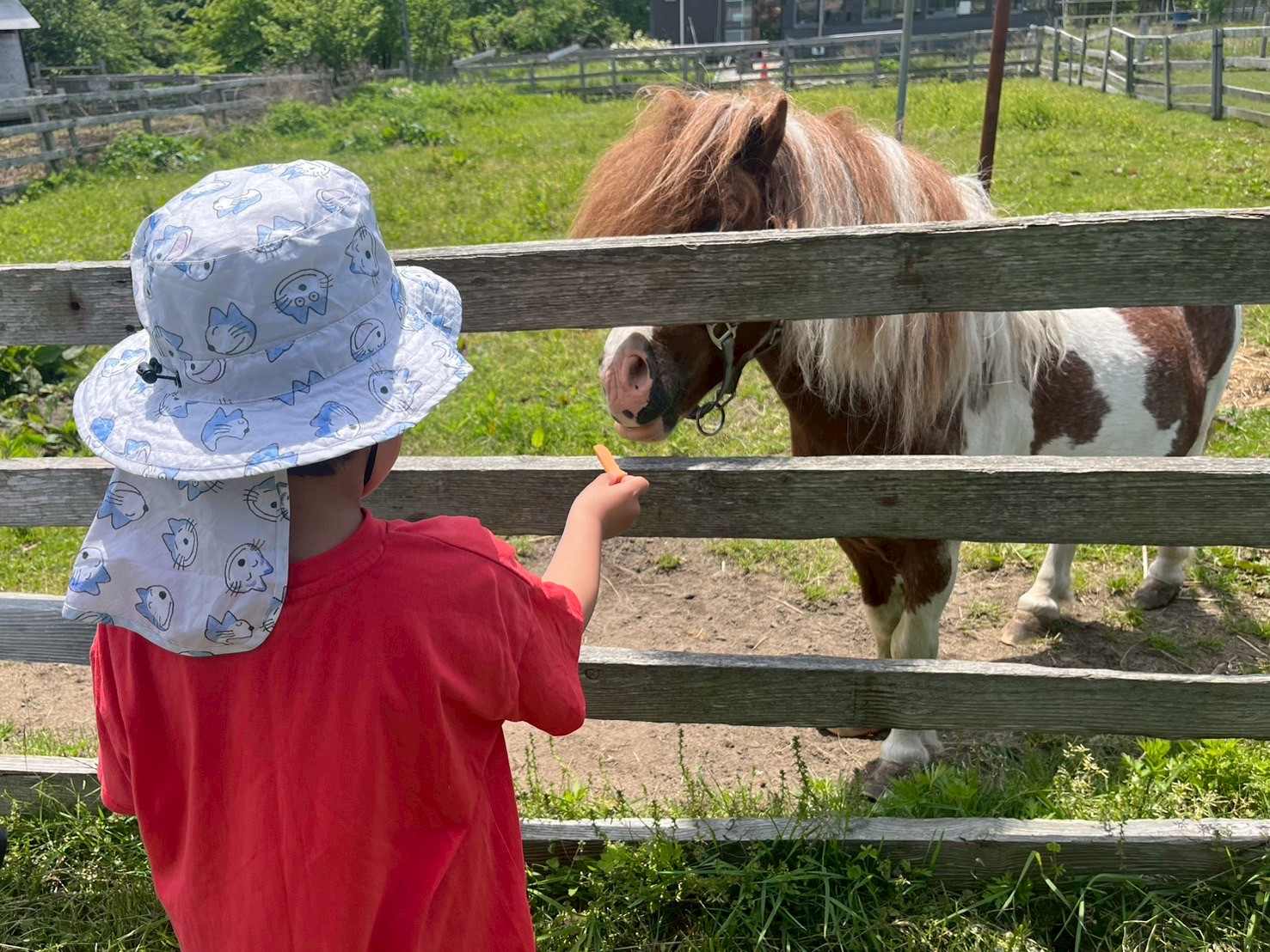 どんぐり農場②