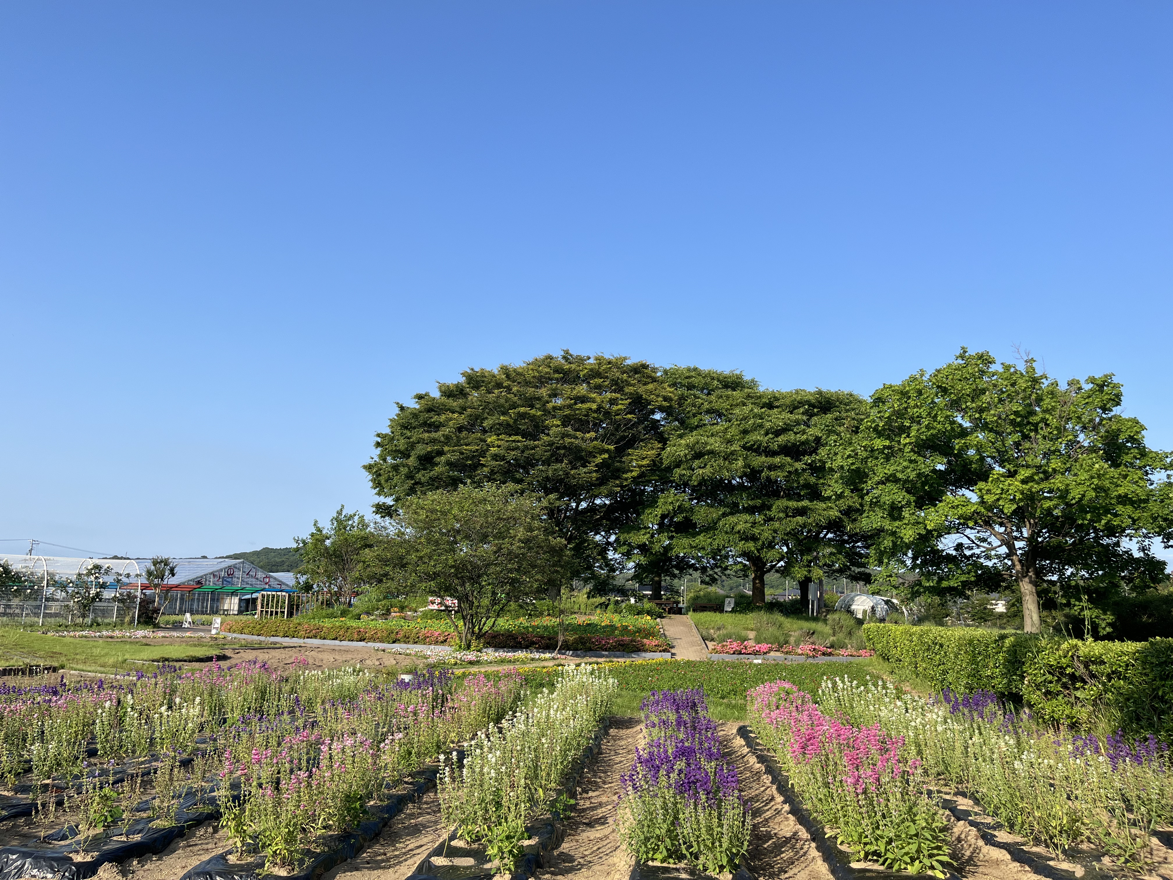 ハーブワールドAKITA①