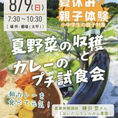 夏野菜の収穫とカレーのプチ試食会in秋田市