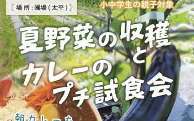 夏野菜の収穫とカレーのプチ試食会in秋田市